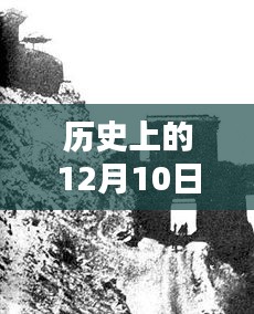 历史上的12月10日四川仪陇金城热门消息深度解析，特性、体验、对比及用户群体全方位评测报告