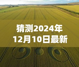 探秘寻常巷陌，2024年12月10日新奇闻揭晓，小巷深处的独特风味与特色小店故事揭晓