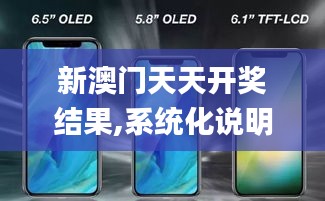 新澳门天天开奖结果,系统化说明解析_iPhone9.703