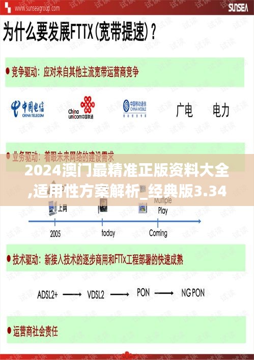 2024澳门最精准正版资料大全,适用性方案解析_经典版3.340