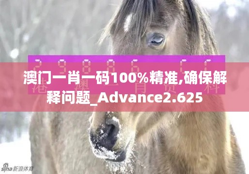 澳门一肖一码100%精准,确保解释问题_Advance2.625