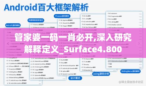 管家婆一码一肖必开,深入研究解释定义_Surface4.800