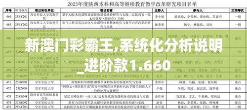 新澳门彩霸王,系统化分析说明_进阶款1.660