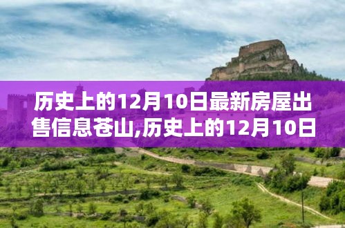 苍山最新房屋出售信息全面评测，历史上的12月10日回顾与今日市场洞察