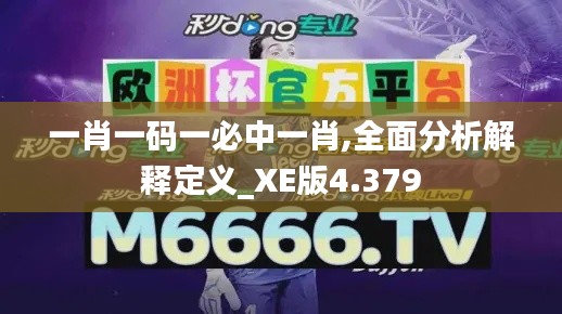 一肖一码一必中一肖,全面分析解释定义_XE版4.379