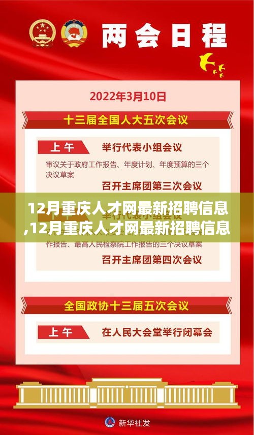 12月重庆人才网最新招聘信息全解析，职场动态速递，求职者的福音