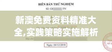 新澳免费资料精准大全,实践策略实施解析_BT9.786