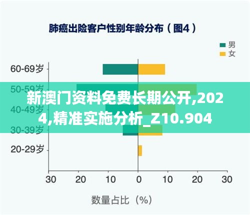 新澳门资料免费长期公开,2024,精准实施分析_Z10.904