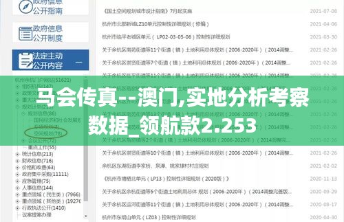 马会传真--澳门,实地分析考察数据_领航款2.253