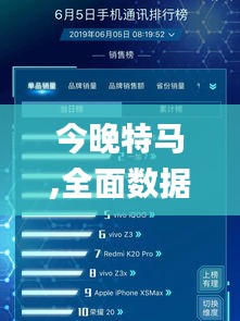 今晚特马,全面数据策略实施_suite9.860