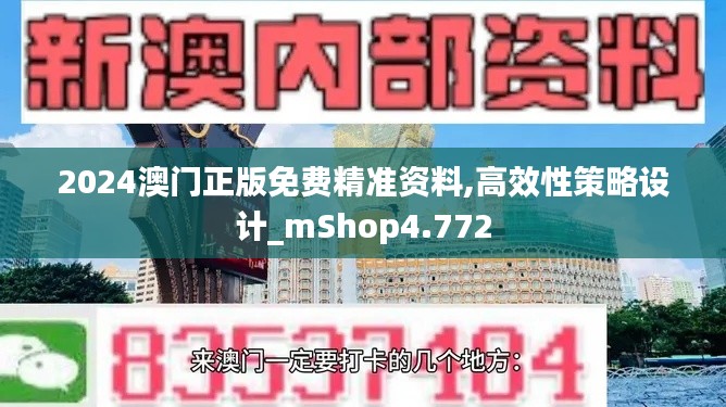 2024澳门正版免费精准资料,高效性策略设计_mShop4.772