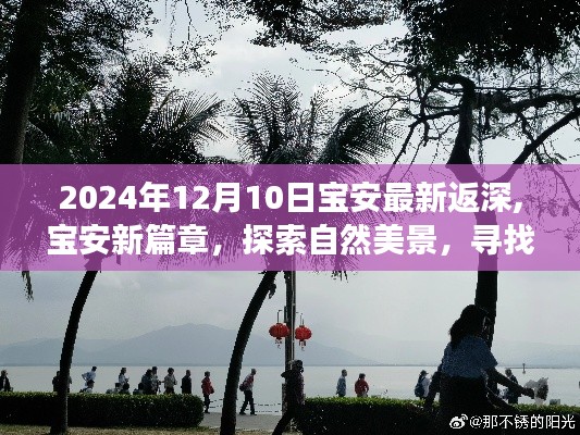 2024年返深纪实，宝安新篇章，自然探索与内心平静的旅程