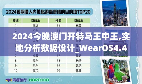 2024今晚澳门开特马王中王,实地分析数据设计_WearOS4.411