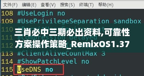 三肖必中三期必出资料,可靠性方案操作策略_RemixOS1.373