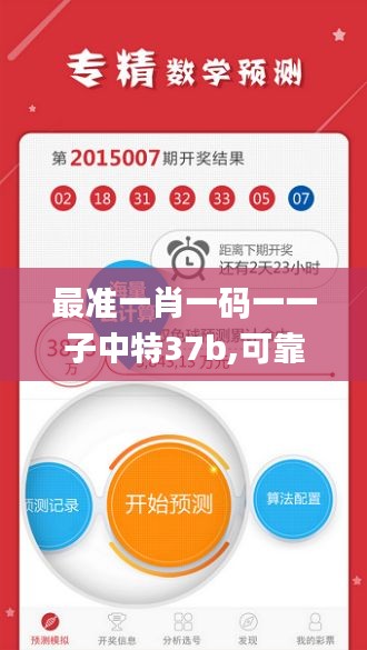 最准一肖一码一一子中特37b,可靠执行计划_CT5.221