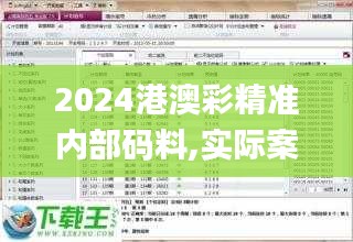 2024港澳彩精准内部码料,实际案例解释定义_复刻版1.547