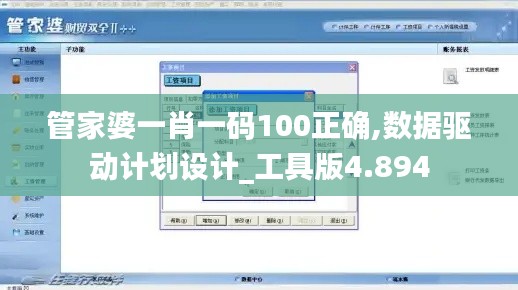 管家婆一肖一码100正确,数据驱动计划设计_工具版4.894