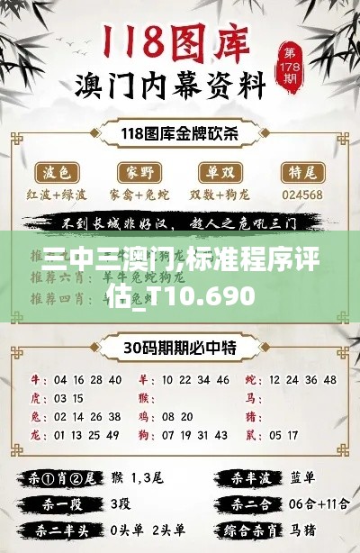 三中三澳门,标准程序评估_T10.690