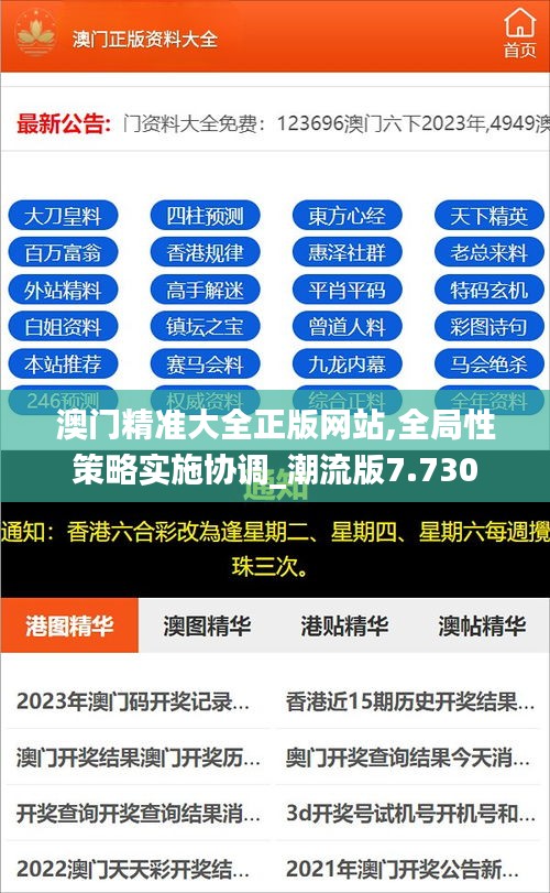 澳门精准大全正版网站,全局性策略实施协调_潮流版7.730