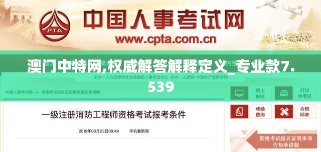 澳门中特网,权威解答解释定义_专业款7.539