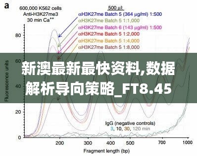 新澳最新最快资料,数据解析导向策略_FT8.455