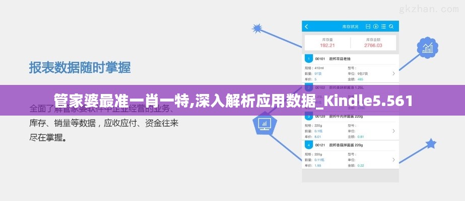 管家婆最准一肖一特,深入解析应用数据_Kindle5.561