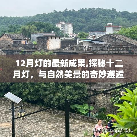 探秘十二月灯，与自然美景的奇妙邂逅之旅的最新成果