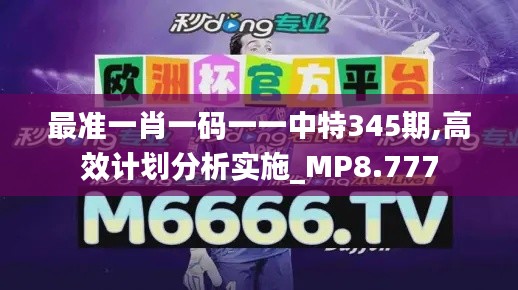 最准一肖一码一一中特345期,高效计划分析实施_MP8.777