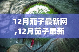 12月茄子最新网，与自然美景的邂逅，探寻内心宁静之旅