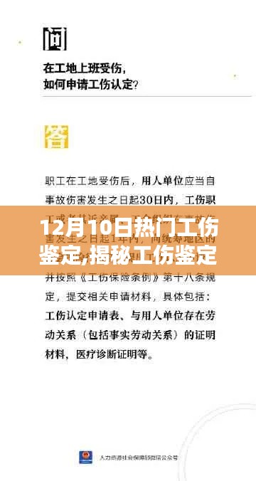 揭秘工伤鉴定，深度解读最新热点，掌握工伤鉴定最新动态