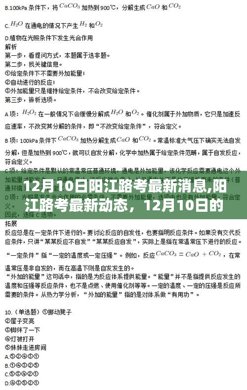 阳江路考最新动态解读，12月10日三大要点揭秘