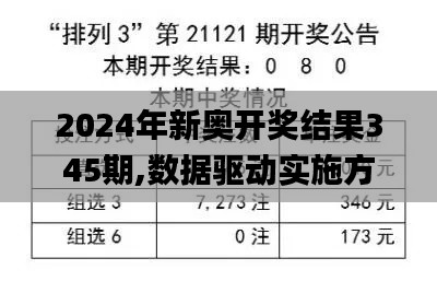 2024年新奥开奖结果345期,数据驱动实施方案_网页版16.139