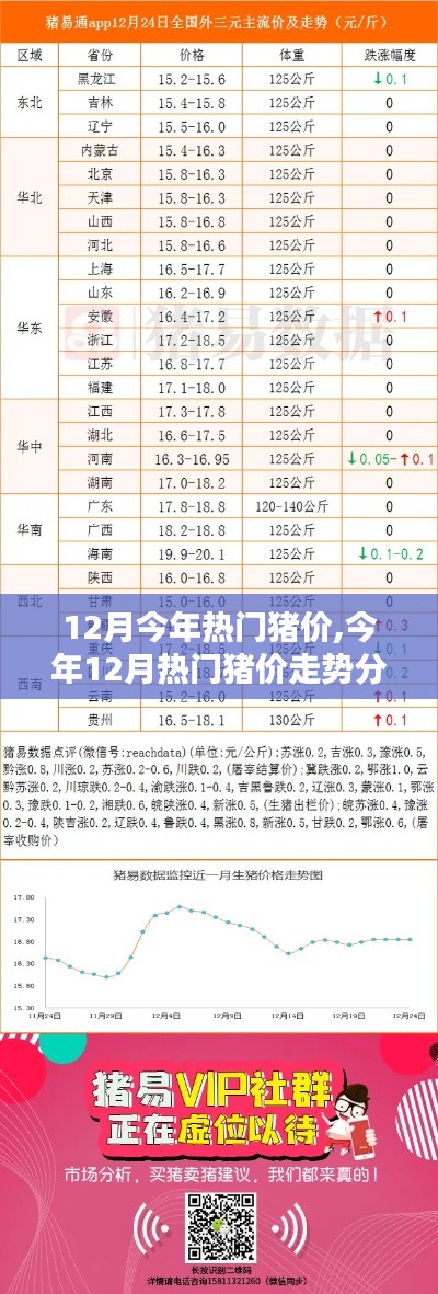 今年12月热门猪价走势分析预测