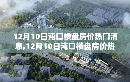 12月10日沌口楼盘房价最新动态，热门消息全解析与购房指南