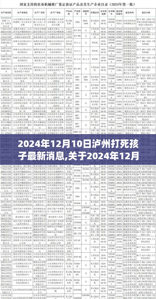 泸州孩子不幸事件最新消息，全面评测与进展（2024年12月10日）