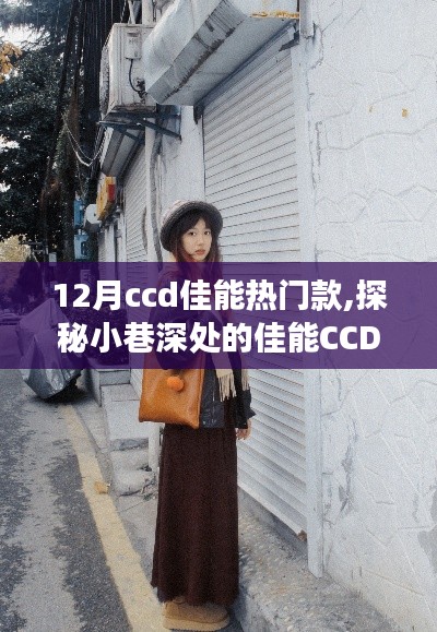 探秘佳能CCD秘境，十二月热门款相机体验与小巷深处的秘密之旅