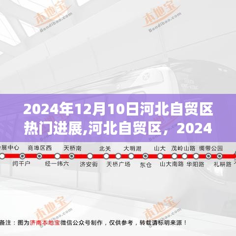 河北自贸区最新进展深度解析，聚焦2024年12月10日热门动态揭秘