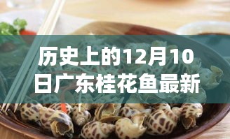 广东桂花鱼最新价格揭秘，一个关于友情与陪伴的温馨故事在12月10日上演