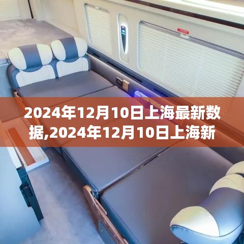 上海新发现之旅，自然美景探寻内心的平和与宁静