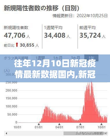 往年12月10日国内新冠疫情数据概览及查询指南