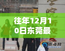 往年12月10日东莞新闻杀人案回顾与深度解析