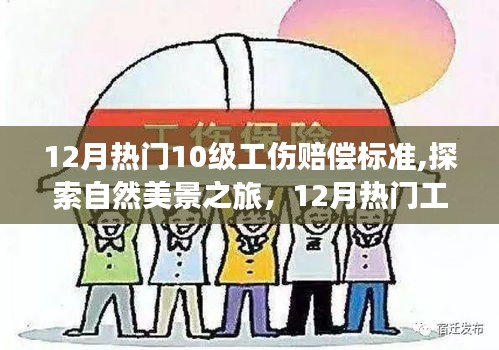 探索自然美景之旅，揭秘12月热门工伤赔偿标准背后的宁静与力量