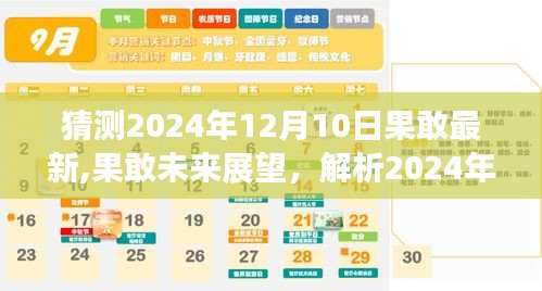 2024年果敢发展预测与展望，最新动态与观点碰撞