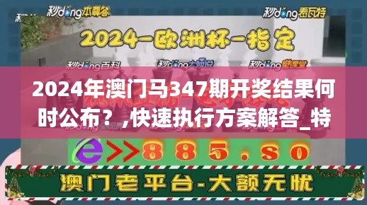 2024年澳门马347期开奖结果何时公布？,快速执行方案解答_特别款1.244