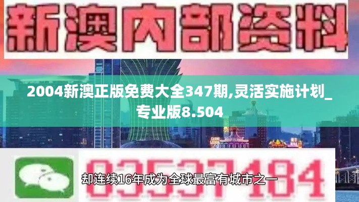 2004新澳正版免费大全347期,灵活实施计划_专业版8.504