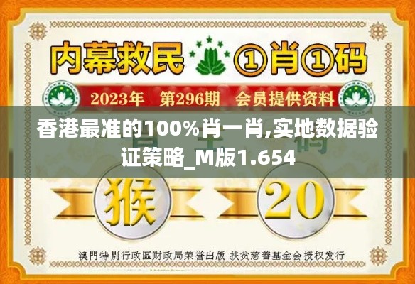 香港最准的100%肖一肖,实地数据验证策略_M版1.654