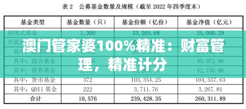 澳门管家婆100%精准：财富管理，精准计分