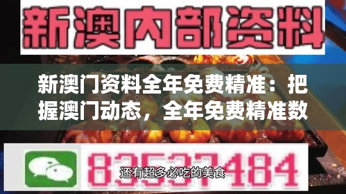 新澳门资料全年免费精准：把握澳门动态，全年免费精准数据支持