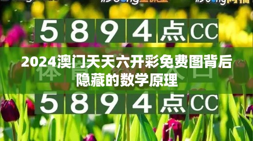 2024澳门天天六开彩免费图背后隐藏的数学原理