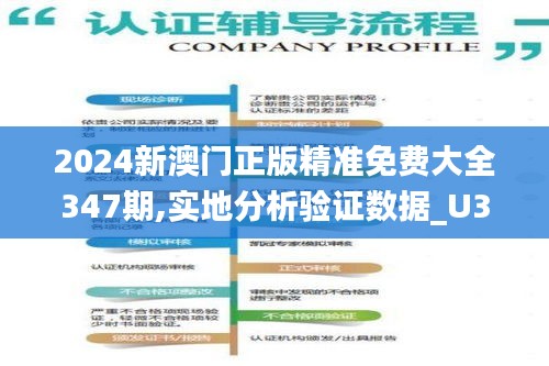 2024新澳门正版精准免费大全347期,实地分析验证数据_U3.118